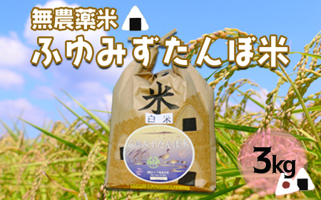 宮城県産 無農薬白米「ふゆみずたんぼ米」3kg｜大崎市田尻のブランド米・ご飯に最適【精米済・送料無料】