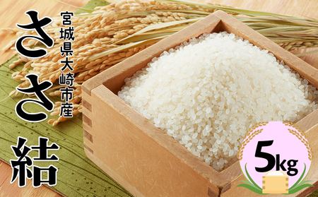宮城県産ブランド米  令和7年産 ささ結 5kg｜炊きたてはもちろん冷めても美味しい白米