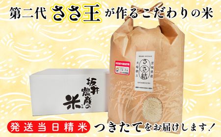 坂井農産のささ結 特別栽培米 宮城県産 白米 5kg