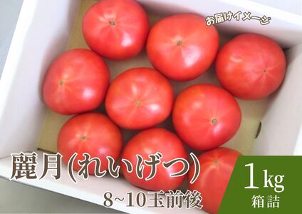 【糖度7度以上】麗月トマト 1kg｜冬期育ちの濃厚な甘み・産地直送の完熟トマト