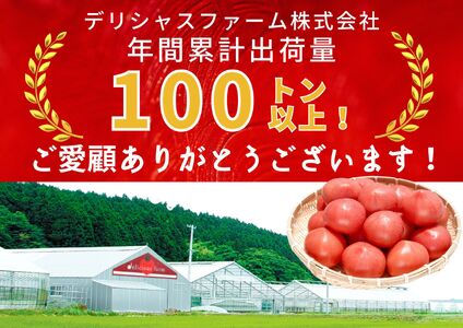 【糖度7度以上】麗月トマト 1kg｜冬期育ちの濃厚な甘み・産地直送の完熟トマト