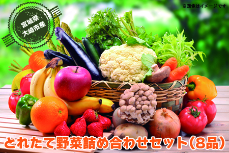 (09702)【宮城県産】とれたて野菜 詰め合わせセット(8品)