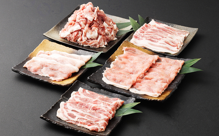 JAPAN X5種スライスセット1.8kg 【真空パック・ロース・肩ロース・バラ・モモ・小間】　【04301-0543】