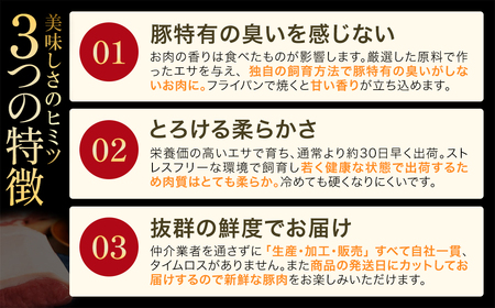 【定期便5か月】JAPAN X5種スライスセット1.8kg 【真空パック・ロース・肩ロース・バラ・モモ・小間】　【04301-0551】