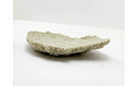 継ぎ足し用 RAGDOLLプレミアムサンド　900g　猫砂　【04301-0473】