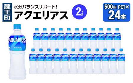 【2か月連続お届け】アクエリアス　500ml PET×24本　【04301-0705】