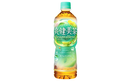 【5か月連続お届け】爽健美茶　600ml PET×24本　【04301-0029】
