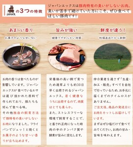 定期便 5ヶ月 JAPAN X 豚肉 ＆ 特選 厚切り 牛タン バラエティ セット 1.7kg ( バラ 肩ロース 小間 牛たん )