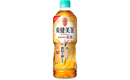PET600ml×24本 爽健美茶 健康素材の麦茶