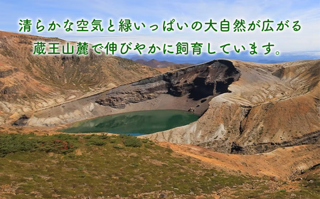 蔵王合鴨　ロース・ももスモークセット　【04301-0785】