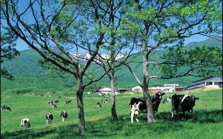 蔵王チーズ 蔵王山麓発酵バター 170g×2個 【04301-0815】