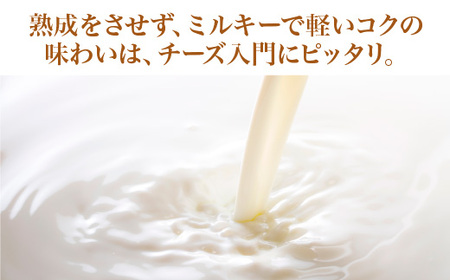 蔵王チーズ 蔵王ミルクキューブ 90g×3個セット 【04301-0816】