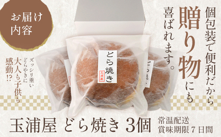玉浦屋名物 ズッシリ大きなどら焼き 3個 【04301-0807】