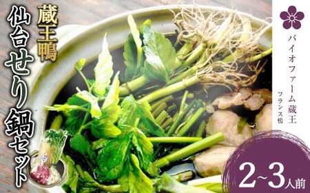 蔵王鴨 仙台せり鍋セット2～3人前　【04301-0121】 鍋 せり鍋 鍋セット 