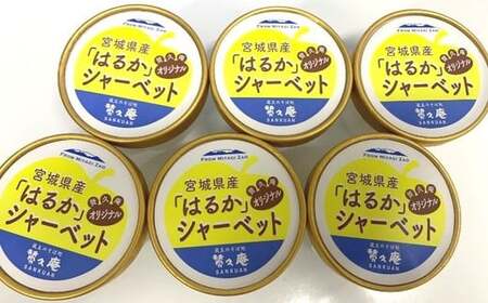 りんご「はるか」シャーベット　【04301-0202】