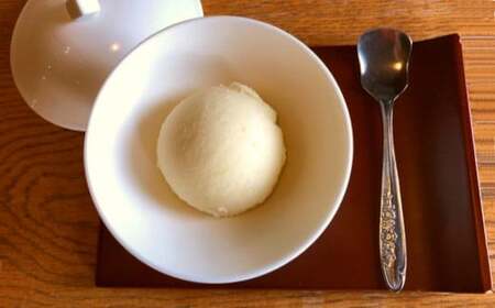 りんご「はるか」シャーベット　【04301-0202】