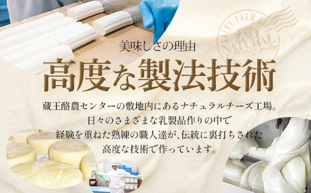 蔵王チーズバラエティセット(10種) 【04301-0826】