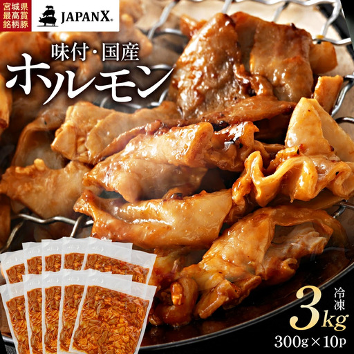 JAPAN X 味付ホルモン 300g×10 計3kg　豚肉 豚 ブランド豚 小分け 豚ホルモン ホルモン ジャパンエックス 蔵王 人気【04301-0882】
