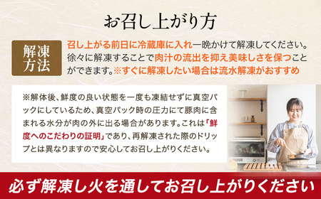JAPAN X ひき肉 200g×10 計2㎏ 豚肉 豚 ブランド豚 小分け 豚ひき肉 挽肉 ひき肉 ジャパンエックス 蔵王 人気【04301-0885】