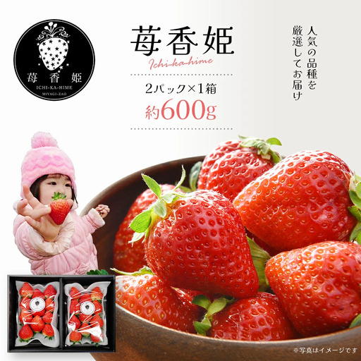 苺1箱（2パック入り/大きい苺/化粧箱）苺香姫～ICHIKA-HIME～　【04301-0563】