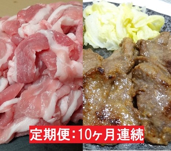【10ヶ月連続】JAPAN X豚小間1.5kg＆家庭用牛タン（塩味）600g/計2.1kg【定期便】【訳あり】