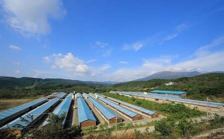 豚肉『JAPANX』3種・1,380g詰合せ「蔵王からの贈りものセットB」　【04301-0189】