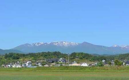 豚肉『JAPANX』3種・2,070g詰合せ「蔵王からの贈りものセットA」 【04301-0190】