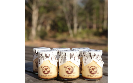 蔵王初のプリン専門店が贈る【蔵王懐かしプリン6個セット】
