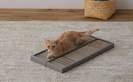 猫 爪とぎ ダンボール やすり付き爪とぎ P-YT650 アイリスオーヤマ ブラウン 段ボール 爪磨き またたび マタタビ成分 ねこ ネコ cat キャット CAT 