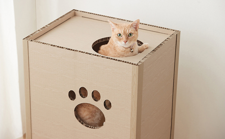キャットタワー 低め 段ボール ねこねこタワー アイリスオーヤマ 2段 P-NT2 おしゃれ 段ボールハウス キャットハウス かわいい 猫 ネコ cat キャット キャットツリー ボックス ハニカム構造 