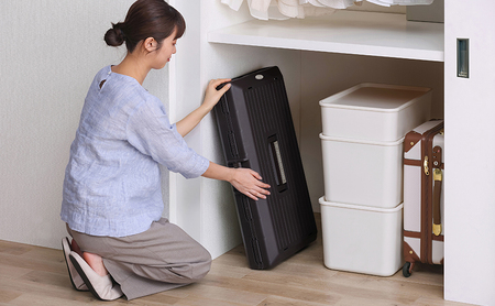 ペットキャリー 折りたたみ FC-670 ブラウン アイリスオーヤマ 犬 猫 ケージ ハードキャリー 折り畳み キャリーバッグ キャリーケース プラスチック お出かけ 帰省 旅行 病院 通院 移動 防災 