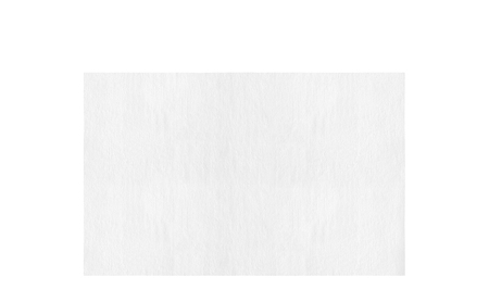 ペット ウェットティッシュ ボディー用 25枚入り×36P DBWT アイリスオーヤマペット用タオル ペット用品 犬 イヌ いぬ ネコ 猫 ねこ