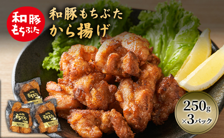 和豚 もちぶた から揚げ 3パック 約250g×3 豚肉 ポーク 肉 豚 国産 宮城県産 温めるだけ 簡単 レトルト アウトドア 包装 食卓 ご飯 小分け 時短