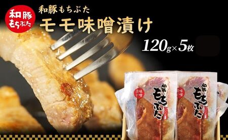 和豚 もちぶた モモ 味噌漬け 120g×5枚 もち豚 豚肉 ポーク お肉 肉 豚 ぶた ブタ もも肉 精肉 加工肉 アウトドア 11,100円