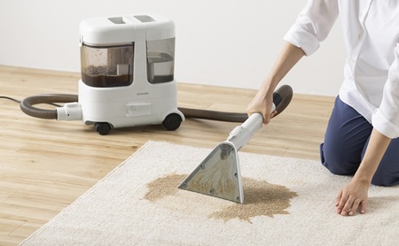 リンサークリーナー RNS-P1600 グレーホワイト アイリスオーヤマ クリーナー カーペットクリーナー カーペット洗浄機 丸洗い ソファー 絨毯 じゅうたん 車 車内洗浄 家庭用 シート カーペット クッション ラグ 大掃除 猫 犬 ペット おすすめ 人気