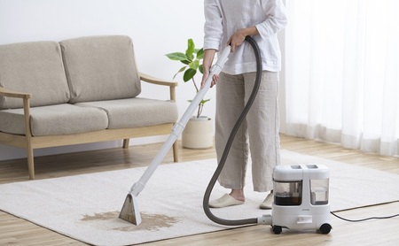 リンサークリーナー RNS-P1600 グレーホワイト アイリスオーヤマ クリーナー カーペットクリーナー カーペット洗浄機 丸洗い ソファー 絨毯 じゅうたん 車 車内洗浄 家庭用 シート カーペット クッション ラグ 大掃除 猫 犬 ペット おすすめ 人気