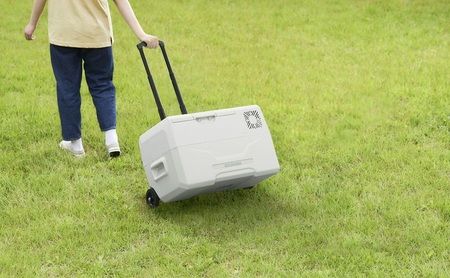 ポータブル冷蔵冷凍庫 30L IPD-3B-W ホワイト ポータブル冷蔵庫 アイリスオーヤマ キャンプ アウトドア バーベキュー BBQ キャンプ 少年野球 お出かけ