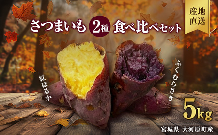 さつまいも 約5kg 2種詰合せ 紅はるか ふくむらさき サツマイモ 宮城県産 甘い 秋 冬 スイーツ 産地直送 宮城県 大河原町