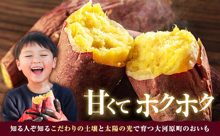 さつまいも 約5kg 2種詰合せ 紅はるか ふくむらさき サツマイモ 宮城県産 甘い 秋 冬 スイーツ 産地直送 宮城県 大河原町