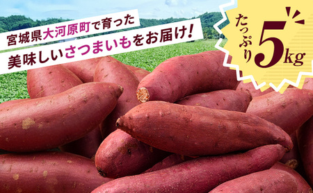 さつまいも 約5kg 2種詰合せ 紅はるか ふくむらさき サツマイモ 宮城県産 甘い 秋 冬 スイーツ 産地直送 宮城県 大河原町