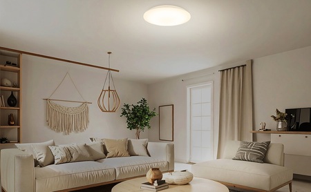 LEDシーリングライト 6畳 調光 CEA6D-7.0 シーリングライト LED ledシーリングライト 調光 リモコン付 アイリスオーヤマ 照明 おしゃれ リビング 照明器具 明るい 省エネ 取付簡単 節電 コンパクト