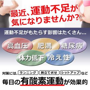 ステッパー フィットネス 静音 負荷調整 トレーニングバンド付属 計測メーター 有酸素運動 室内運動 足踏み ダイエット エクササイズ 昇降運動 下半身 運動 室内 筋トレ ながら運動 SunRuck SR-FT028