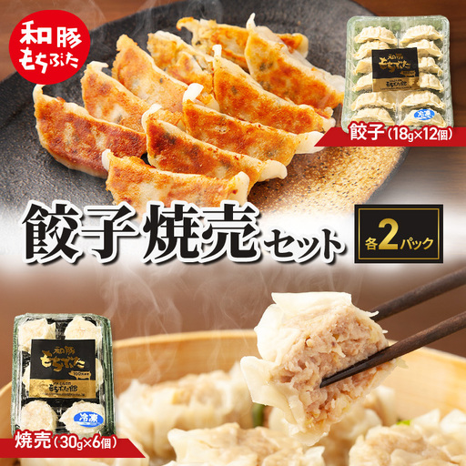 和豚もちぶた 餃子 焼売 もちぶた セット 各2パック おつまみ おかず 時短 小分け ギョーザ シュウマイ 冷蔵 中華 ぎょうざ ギョウザ 食品 惣菜 中華惣菜 11,520円
