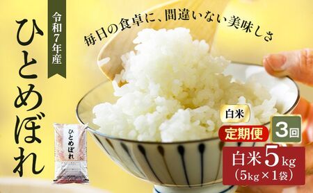 令和7年産 【定期便 3回】宮城県大河原町産 ひとめぼれ 5kg×1袋 ×3ヵ月(計15kg) 米 お米 精米 白米 令和7年 宮城県産