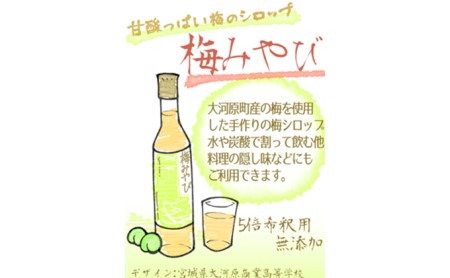 梅みやび（梅シロップ）500ml×2本セット 