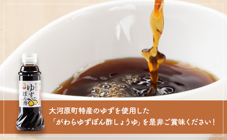 がわらゆずぽん酢しょうゆ300ml×6本セット 調味料 ポン酢 ユズ 柚子 料理 醤油 10,000円台おすすめ返礼品 