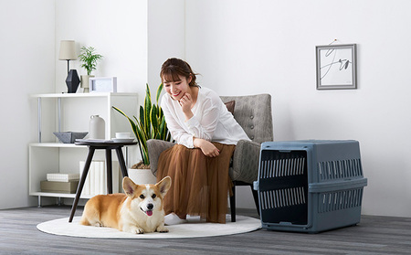 エアトラベルキャリー ATC-670 ダークグレー アイリスオーヤマ 雑貨 日用品 移動 旅行 便利 サイズ 超小型犬 大型犬 ペットハウス 開閉可能 取り外し フード 水銀イオン 配合 雑菌 増殖 