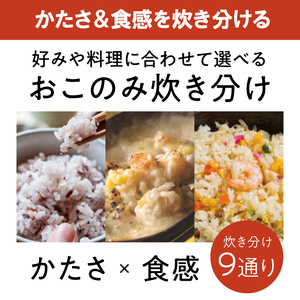 炊飯器 5.5合 アイリスオーヤマ RC-MEA50-W ホワイト ご飯 白米 無洗米