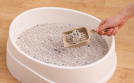 クリーンサンド 5L×4袋 20L CLS-5L ねこ砂 猫トイレ 固まる 抗菌 脱臭 アイリスオーヤマ 10,000円台おすすめ返礼品