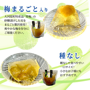 大河原の梅と清水のゼリー うめ果りり 10個入り 10,000円台おすすめ返礼品 お菓子 スイーツ 和スイーツ 梅の風味 梅ゼリー おやつ 食後 ひんやりスイーツ 涼 夏 さっぱり やさしい甘味 酸味 